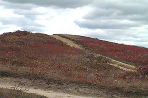 Open Moors in Autumn - ab12ff.htm