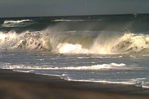 Surf with Rooster Tail - acrn19aff.htm